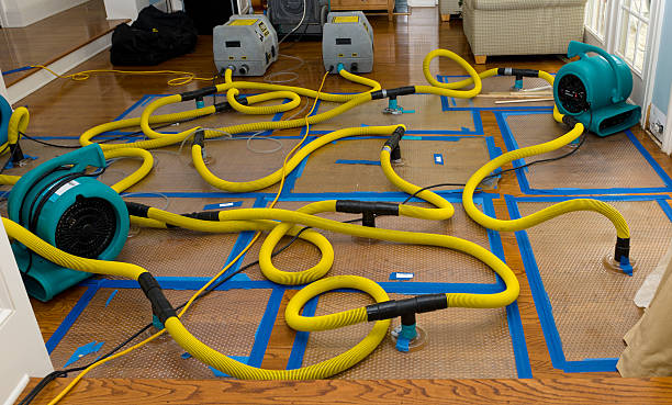 Professional Water Damage Repair technician working in Camden, TN